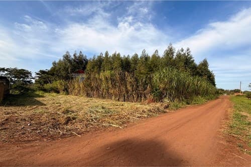 En venta terreno económico - San Juan del Paraná — foto 2