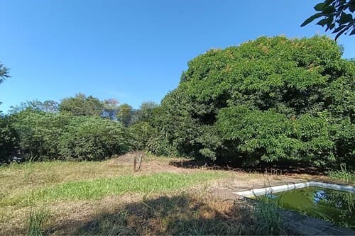 En Venta Terreno Amplio en San Ignacio, Misiones — foto 3