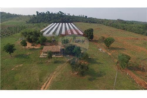 Campo en Arroyos y Esteros sobre el rio Piribebuy — foto 3