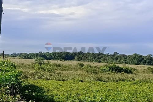 Propiedad Rural de 77 has. zona 25 de Dicembre — foto 4