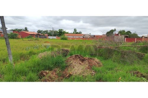 Terreno titulado en Pilar del Norte Limpio — foto 3