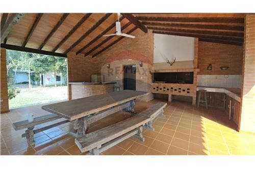 55 hectareas con casa amoblada y eucalipto — foto 3