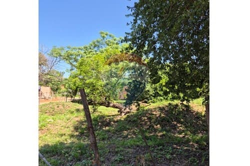 Amplio terreno en Mariano Roque Alonso — foto 4