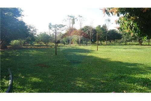 Oferta de extensa propiedad en itá. Sup 2.280 m2, foto 5