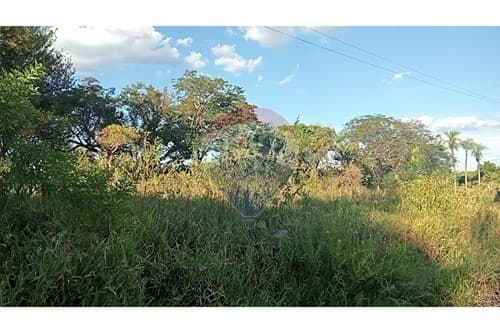 En venta terreno en toledo cañada — foto 2