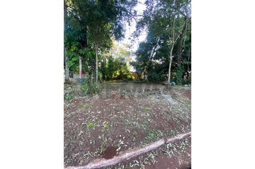 Terreno en venta - Pdte Franco — foto 3