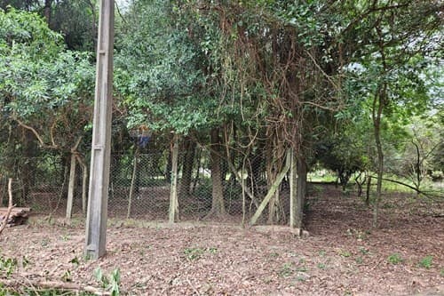 Terreno en San Bernardino fraccion los cocos — foto 1