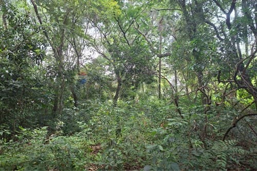 Terreno en Altos: Gran Potencial! — foto 3