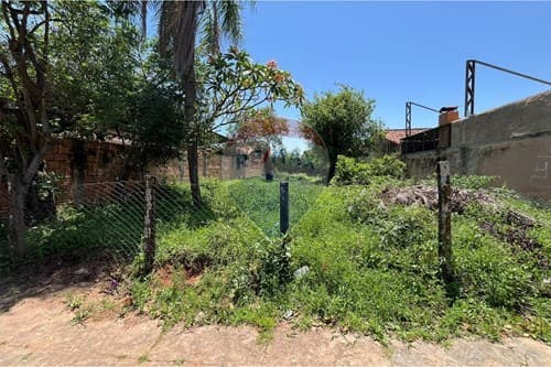 Terreno entre mcal. Lopez y madame lynch — foto 3