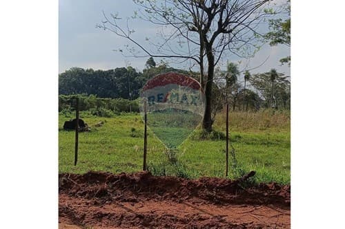 Terreno en caacupe para inversión — foto 4