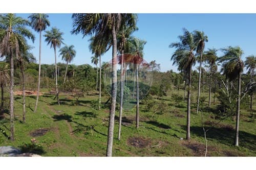 Lotes en Zona de Crecimiento con Financiación, foto 3