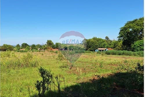 "Terreno Vendo 1958 M2 en Tomás Romero Pereira" — foto 5