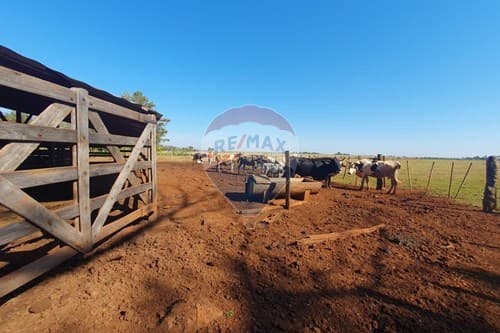 Venta - terreno-hernandarias-paraguay