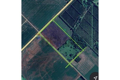 Hectareas en venta sobre ruta graneros del sur — foto 3