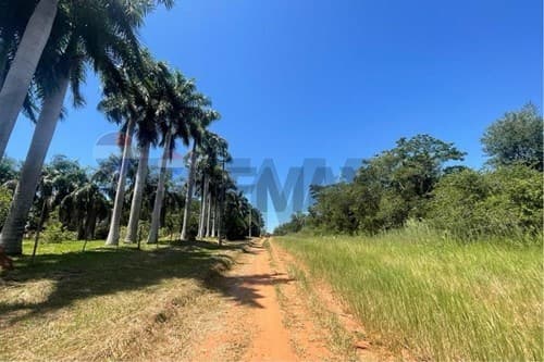Terreno-Venta-Nueva Italia- Central, foto 2