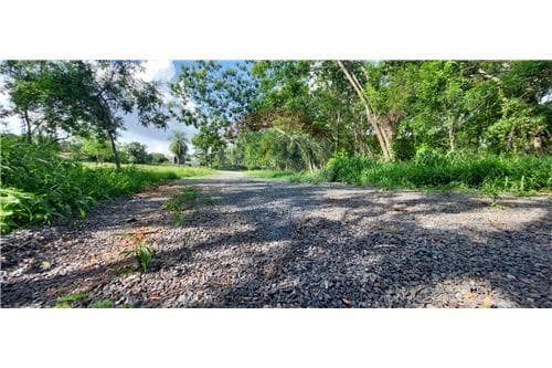 Terrenos disponibles en Barrio Cerrado Floresta — foto 4