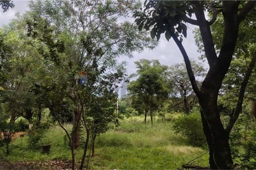 Terreno ruta Luque-limpio — foto 3