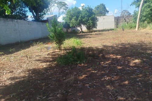 Terreno en Capiata — foto 5