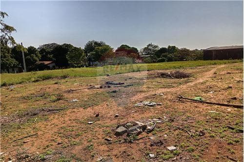 Terrenos en lambare san isidro — foto 2