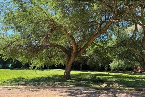 Terreno en Ypacaraí: 360m² para tu hogar ideal