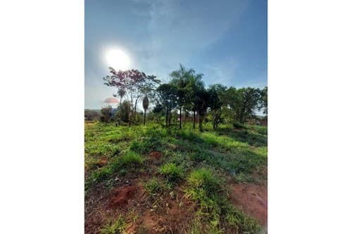 3 terrenos en ypané — foto 3