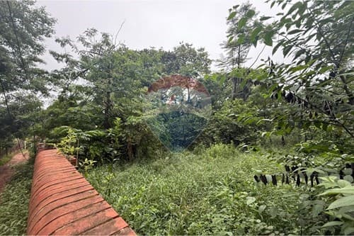 Terreno en caacupe — foto 5