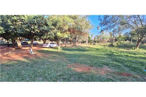 En venta dos hectarea Luque centro — foto 2