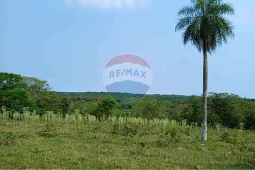 3 terrenos juntos en la ciudad de altos — foto 2