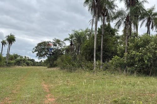 Oferta de terreno en Caacupé – ¡Inversión!"