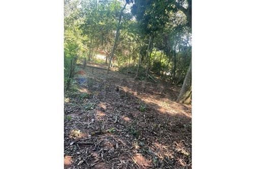 Terreno en Caacupe, foto 2