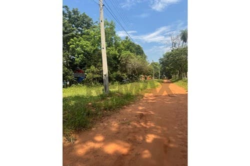 Terreno en Luque Cañada san Rafael — foto 3