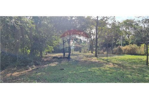 Hermosa propiedad 2,5 Hectareas en Loma Grande — foto 5