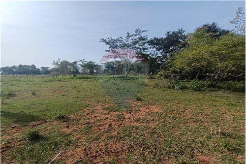 Campo de 8 hectáreas con arroyo en San Estanislao — foto 2