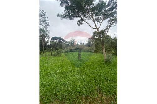 De terreno en san juan del parana, foto 3