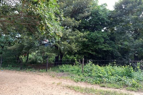 Terreno en Venta en Ypacarai- Pedrozo, foto 5