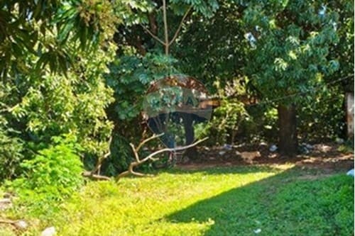 ¡Terreno en Lambaré: Inversión Ideal! — foto 2