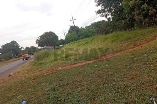 Terreno de 4 ha en guayaibi - san pedro, foto 3