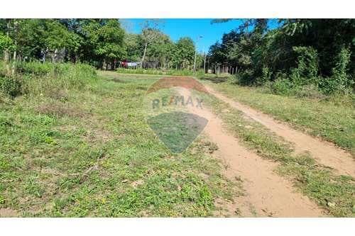 Hermoso Terreno en Limpio — foto 5