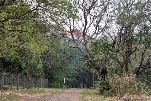 de Gran Terreno en Urbanización Surubi'i, foto 3
