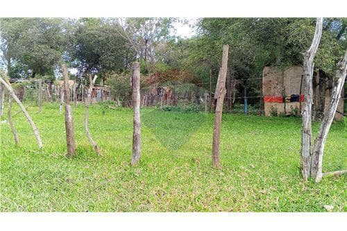 Terreno zona liceo acosta ñu - ypané, foto 5