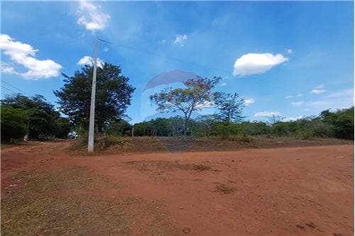 Terreno 5.000 m2 a 350 metros de Ruta 2 - Caacupe — foto 3