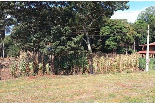 Terreno Estratégico en Hernandarias, foto 3