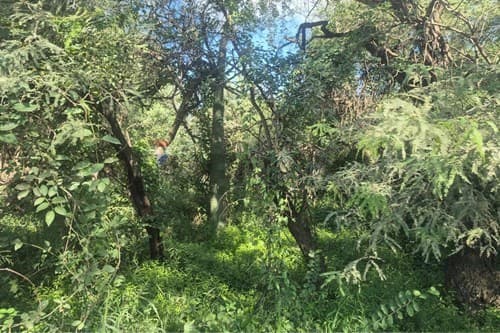 ¡Terreno Estratégico en Boquerón, Filadelfia! — foto 5