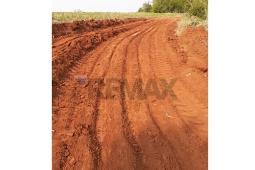 Ubicación estratégica: 11 ha con agua y bosque — foto 3