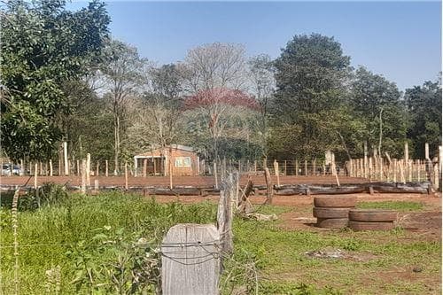 de Inmueble 29 Has. Minga Guazu - Monday — foto 5