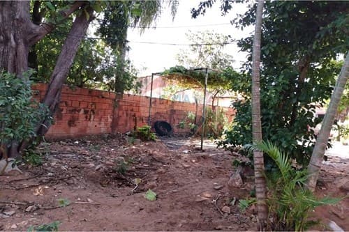 Terreno en VENDO, Pettirossi — foto 1