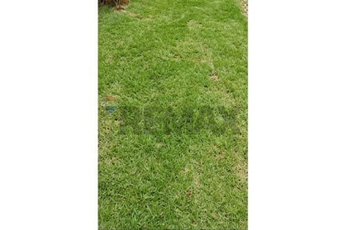 Terreno en oferta km 10 acaray — foto 3