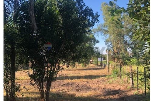 Vendo terreno en el Chaco - Benjamín Aceval