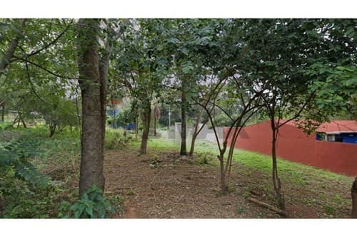 Terreno en Villa Elisa — foto 2