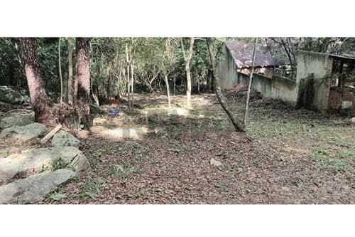 Terreno de 828m² en Nueva Colombia, ¡Invierte ya!, foto 3